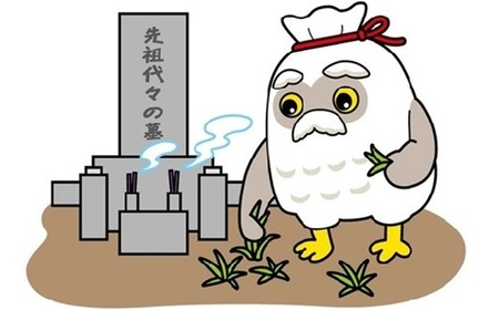お墓のお掃除代行　６平方メートル～１０平方メートル未満　0109-2502
