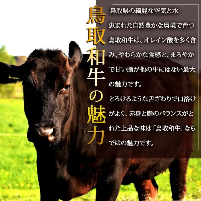 【A5】鳥取和牛ふぞろい焼肉切り落とし 500g【肩ロース サーロイン 三角バラ ランプ ヒレ ランダム 焼き肉 やきにく 切落し 切り落し 和牛 不揃い ご自宅用 ギフト 熨斗 プレゼント お取り寄