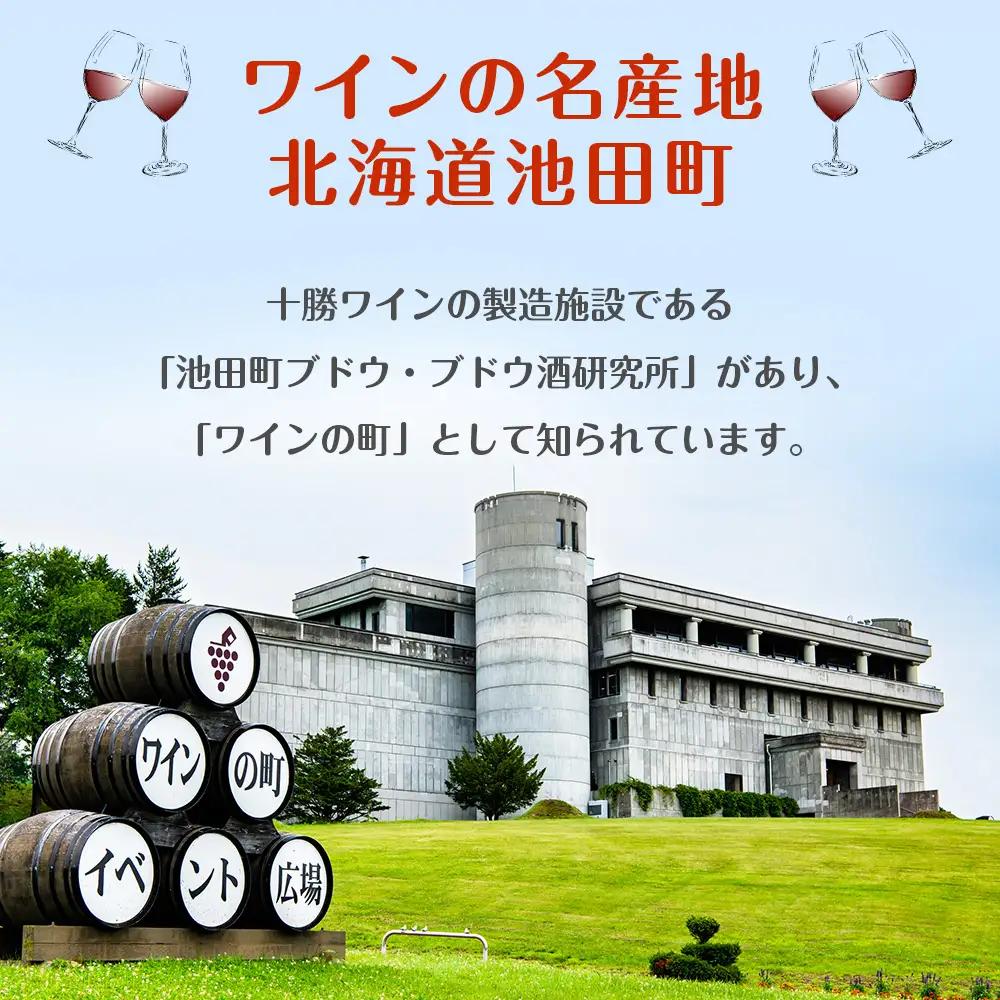 北のサングリアサワー 赤ワインベース 48本 サングリア ワイン サワー 酒 セイコーマート セコマ Secoma 池田町 北海道 酒 リキュール