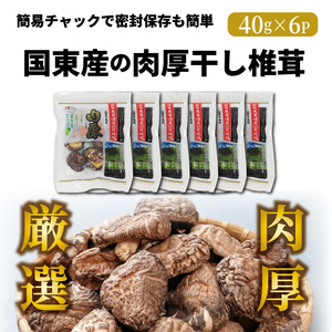 肉厚干し椎茸 大分県 国東産 40g×6袋_29058A