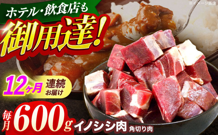 【12回定期便】ジビエ 天然イノシシ肉 角切り肉 600g（カレー・シチュー）【照本食肉加工所】 [OAJ046]