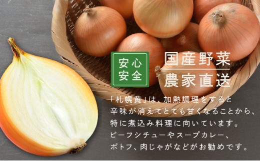 【先行予約】幻の玉ねぎ！札幌黄（さっぽろき）10kg たまねぎ 玉葱 タマネギ 国産 まとめ買い 業務用 贈り物 野菜 美味しい 送料無料 新鮮野菜 健康 和食 レストラン 国産野菜 採れたて 農家直