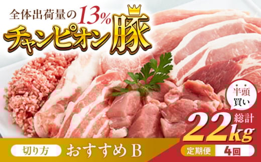 【切り方「おすすめB」】【4回定期便】愛情こめて育てた三元豚 半頭買い（22kg） 亀山市/小林ファーム 豚肉 冷蔵 大容量 送料無料 [AMAB001-2]
