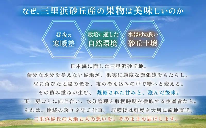 フルーツ 定期便 A 6回コース 旬のフルーツ メロン スイカ 梨 マスカット 2027年6月発送 [J-3217]