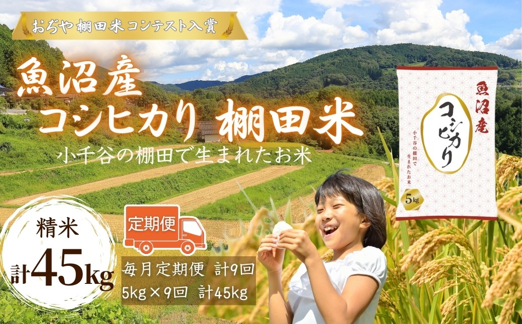 
            令和7年産 魚沼産コシヒカリ 棚田米 精米45kg（5kg×9回）定期便 毎月発送 | 新潟県産 コシヒカリ お米 米 おこめ こめ コメ こしひかり 白米 精米 魚沼産 ブランド米【0002-RC06DB00-02】
          