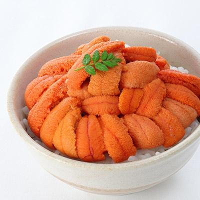 ふるさと納税 根室市 エゾバフンウニ塩水パック80〜90g×2P[10月下旬以降発送] B-24016 |  | 01