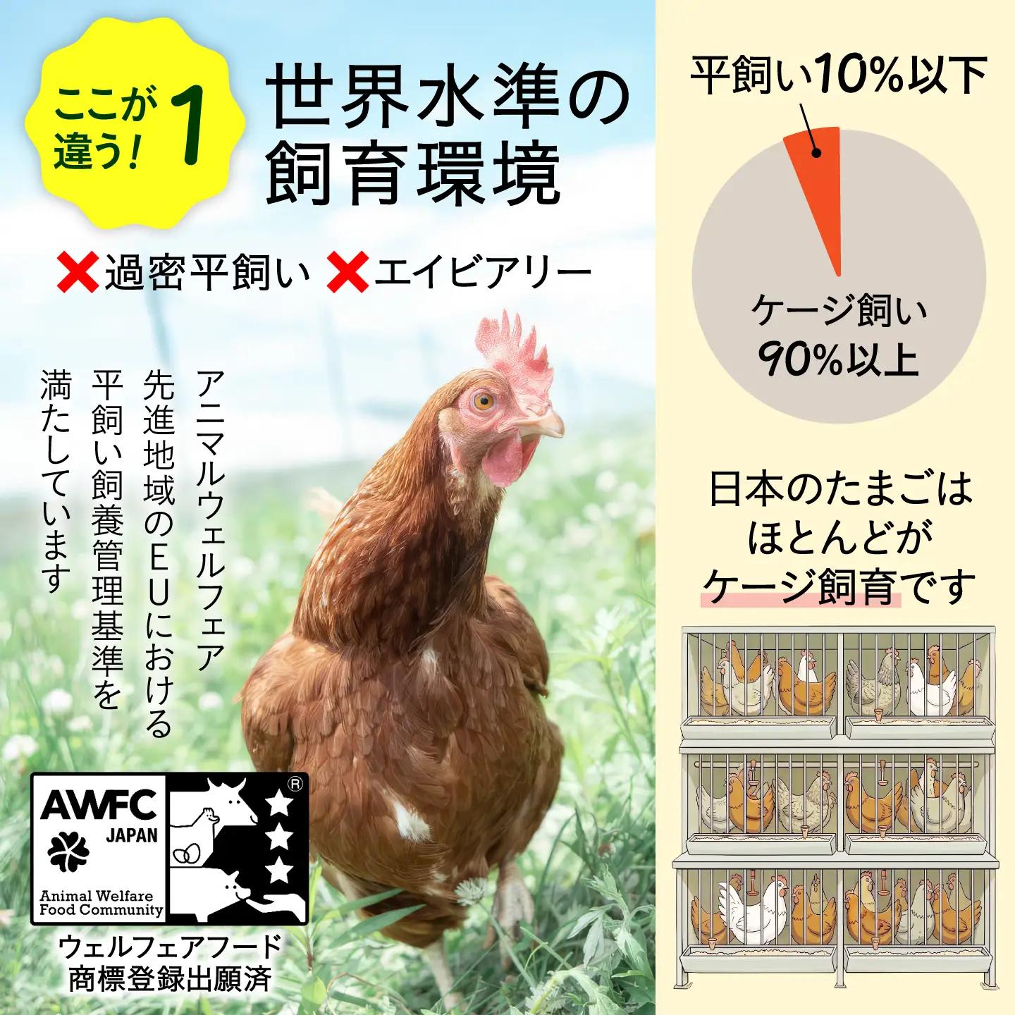 たまご 定期便 6回 有精卵 50個 計300個 冷蔵 [AXAN002]