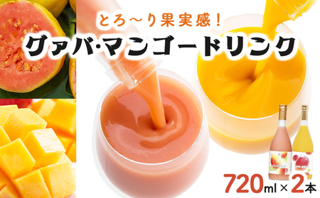 とろーり果実感！グァバ・マンゴードリンク２本セット(720ml×2本)_K021-011