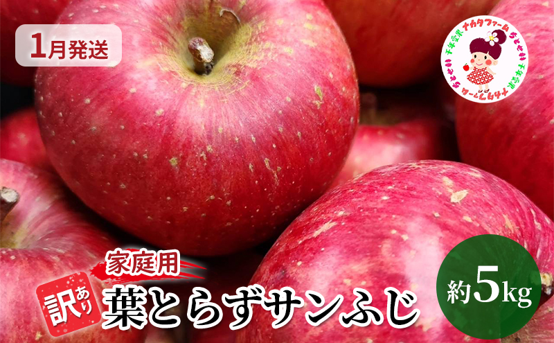 【1月発送】訳あり 家庭用 ちとせ村 葉とらずサンふじ 約5kg【弘前市産・青森りんご】