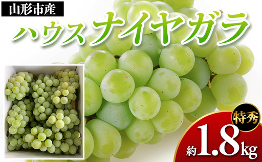 山形市産 ハウスナイヤガラ 特秀 約1.8kg Lサイズ(6～8房) FY26-009