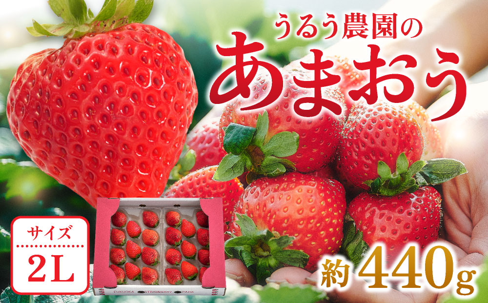 【2027年3月～4月発送】うるう農園のあまおう(2Lサイズ)約220g×2P(約440g) あまおう(2Lサイズ) 約220g×2P(約440g)