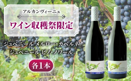 
                  【とうみワイン収穫祭限定！】ジュベニールシリーズ赤ワイン（ジュベニールメルロー・カベルネ、ジュベニールピノノワール）2本セット|【アルカンヴィーニュ】 日本ワイン 長野ワイン 東御ワイン ワイン 長野 東御 赤ワイン
                