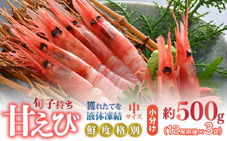 旬子持ち甘えび 小分け 約500g【12尾前後 × 3袋】中サイズ 鮮度格別 獲れたてを液体凍結 えび エビ 海老 甘エビ 甘えび 甘海老 人気 海鮮 お刺身 魚介 海鮮丼 生食 お造り 無添加 冷凍 急速冷凍 福井県産 [m36-a014]