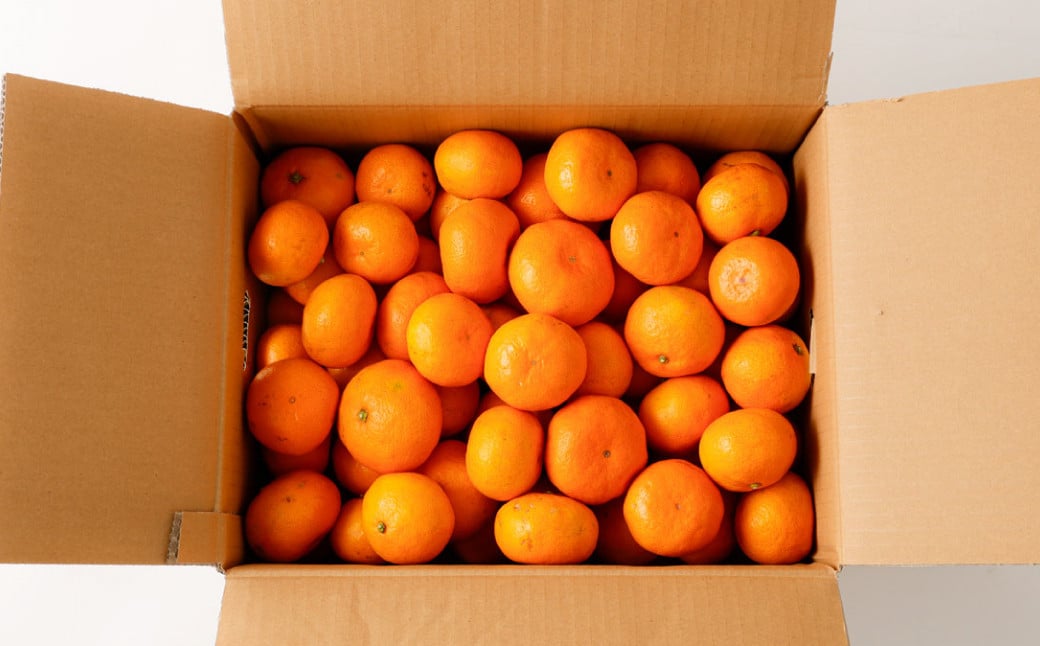 熊本県産みかん BUSAIKU MIKAN 7kg