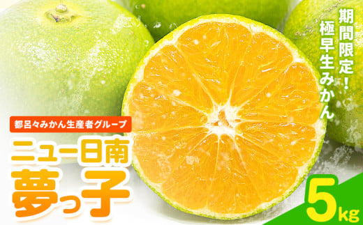 みかん ニュー日南 (夢っ子) 5kg 都呂々みかん生産者グループ《9月中旬-10月上旬頃出荷》フルーツ 果物 くだもの 柑橘 柑橘類 蜜柑 熊本県 苓北町