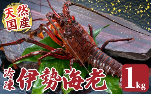 冷凍 伊勢海老 約1kg 伊勢えび 産地直送 天然 国産 海鮮 新鮮 刺し身 味噌汁 焼き物 ギフト 贈答 えび 海老 ebi いせえび 高級食材 お歳暮 お正月 年末年始 三重県 南伊勢 伊勢 志摩