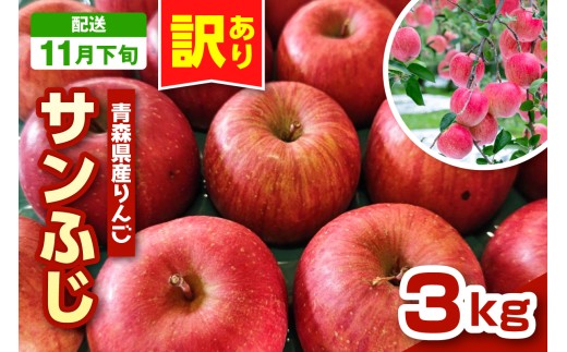 【2025年11月下旬発送】りんご　青森 サンふじ 3kg 程度 《 訳あり 》 農家直送 サンフジ 青森県五所川原市 傷 キズ ワケアリ 林檎 リンゴ apple