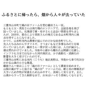 令和6年　新米　にじのきらめき　お米10kg_M63-0014