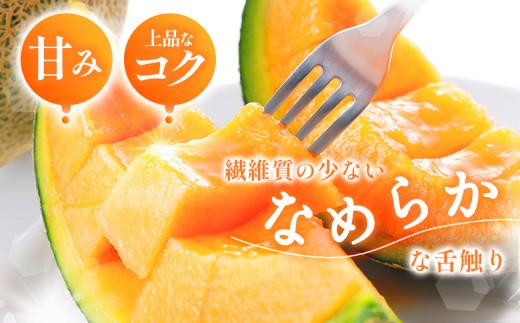 【先行予約】【数量限定】 赤肉メロン3玉【令和８年７月～８月上旬発送】