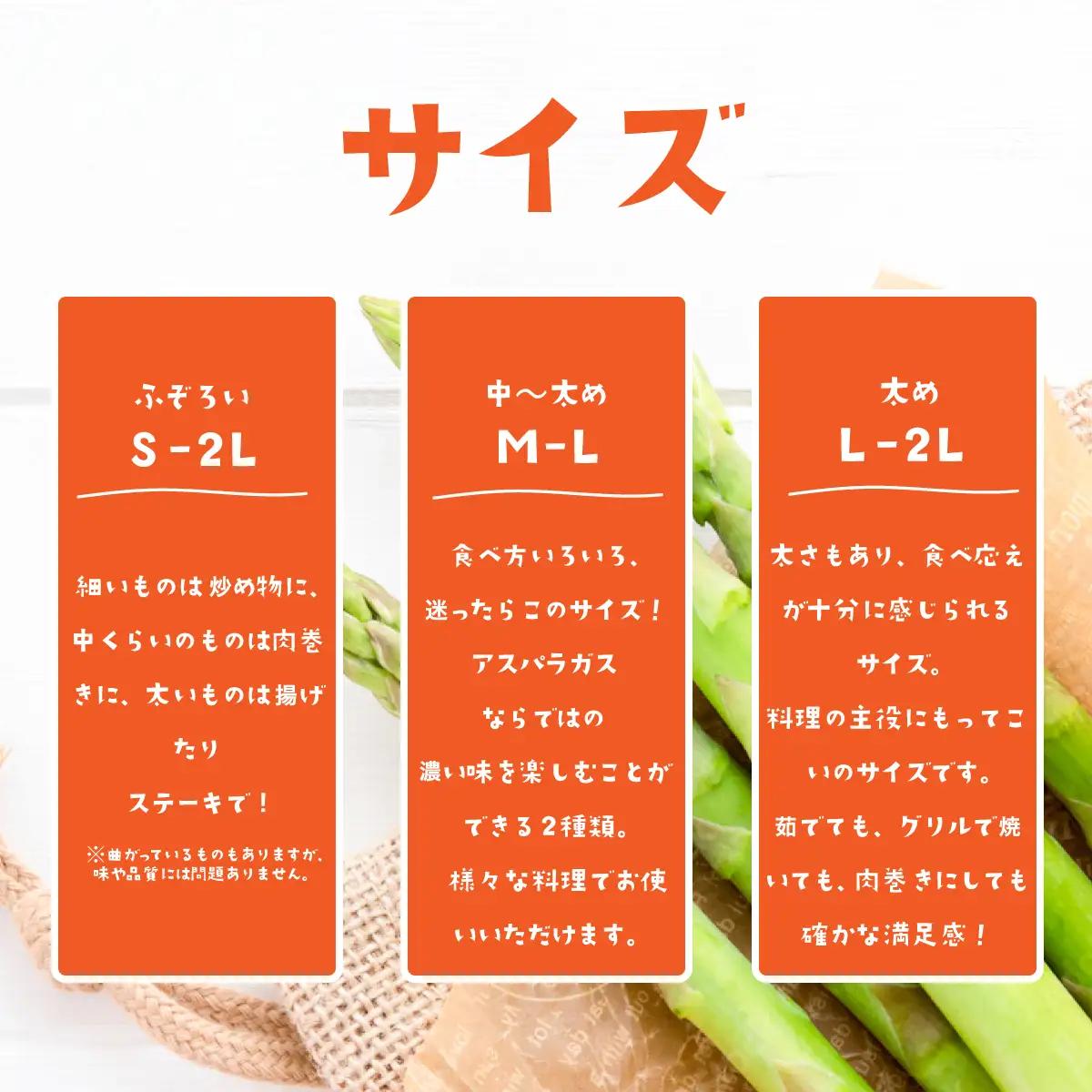 アスパラガス 1kg L～2Lサイズ 朝採り アスパラガス 夏芽 【先行受付】 【26年6月中旬～9月発送】