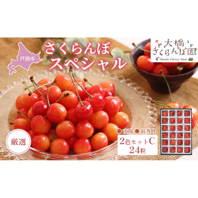 先行予約 厳選 さくらんぼ スペシャル 2色 セット C 24粒（赤・赤） 南陽 紅秀峰 フルーツ 果物 季節のフルーツ 旬 旬のフルーツ 夏 化粧箱 ギフト 贈り物 贈答 プレゼント 冷蔵 冷蔵配送 北海道 芦別市　お届け：2025年7月中旬頃～