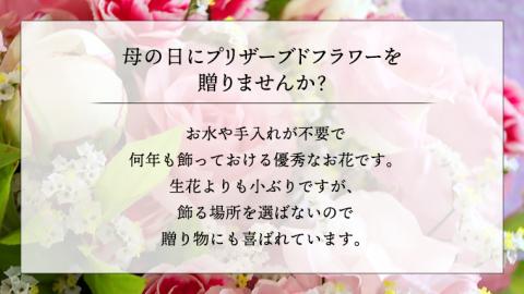 【 母の日 】 花色 おまかせ プリザーブド フラワーM ギフト プレゼント 花 お祝い 贈答 記念日 [CT104ci01]