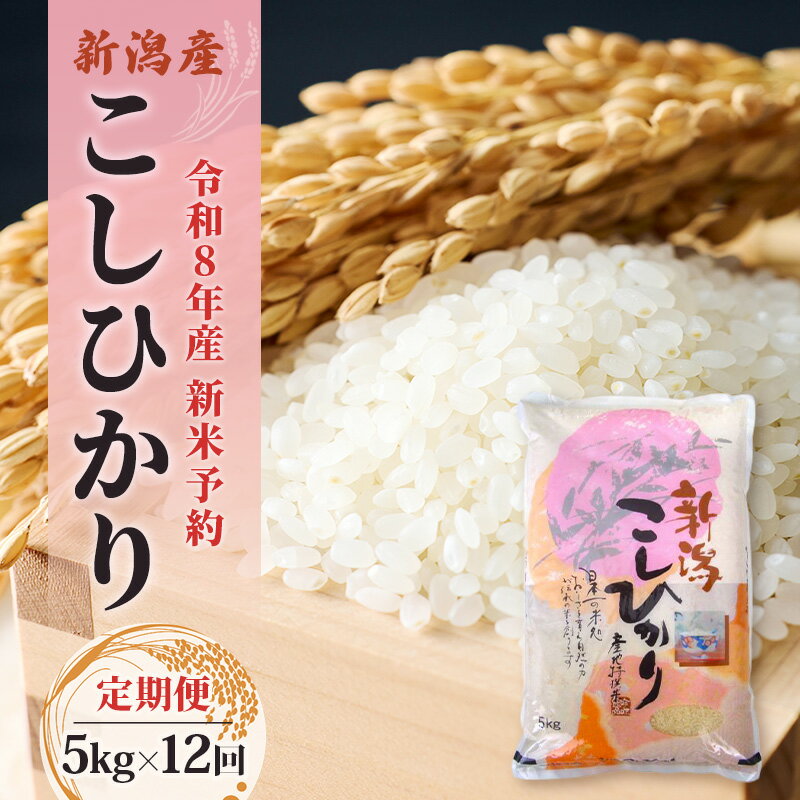 【ふるさと納税】【先行予約】令和8年産新米予約【定期便】新潟産コシヒカリ5kg×12回　米 精米 こしひかり お取り寄せ 新潟県 新潟市　お届け：2026年10月下旬～2027年8月下旬まで