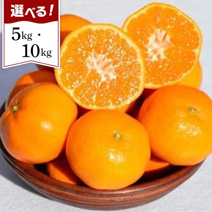 【ふるさと納税】［先行予約］和歌山県産 みかん 秀品 5kg／10kg（箱込み） | 和歌山県 和歌山市 和歌山 返礼品 お取り寄せグルメ お取り寄せ グルメ フルーツ 果物 くだもの ミカン 蜜柑 柑橘類 かんきつ類 おいしいみかん 美味しいミカン 美味しい