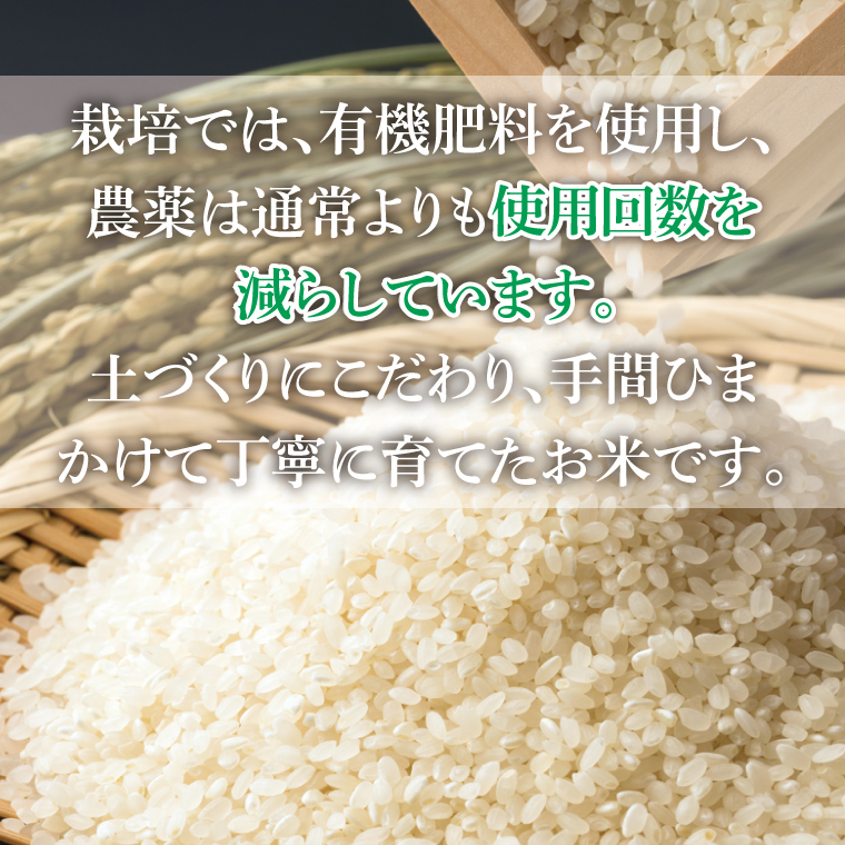 【先行予約】10月中旬から配送【令和7年産新米】コシヒカリ精米5kg【お米 白米 コシヒカリ こしひかり 茨城県産】(72-01)