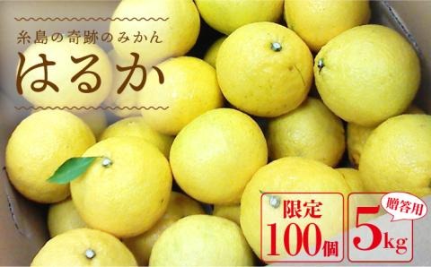 【先行予約】 爽やかに 甘い ！ 糸島産 「 はるか 」 贈答用 約 5kg 【2026年3月より順次発送】二丈赤米産直センター[ABB001]