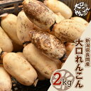 【ふるさと納税】75T-03【大口れんこん】新潟県長岡産レンコン2kg