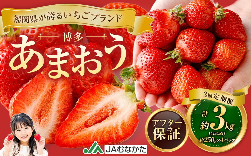 
                  【3回定期便】博多 あまおう 4パック【2027年2月上旬～2027年4月下旬発送予定】
                