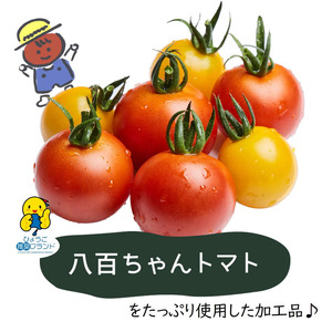 【定期便・全4回】大玉トマトのトマトジュース 1L 3本セット × 4回｜国産 姫路産 八百ちゃんトマト 100%ストレート