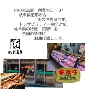 飛騨牛ロース1kg カルビ700g 三浦豚ロース900g豪華3点セット しゃぶしゃぶ・焼肉【配送不可地域：離島】【1308075】