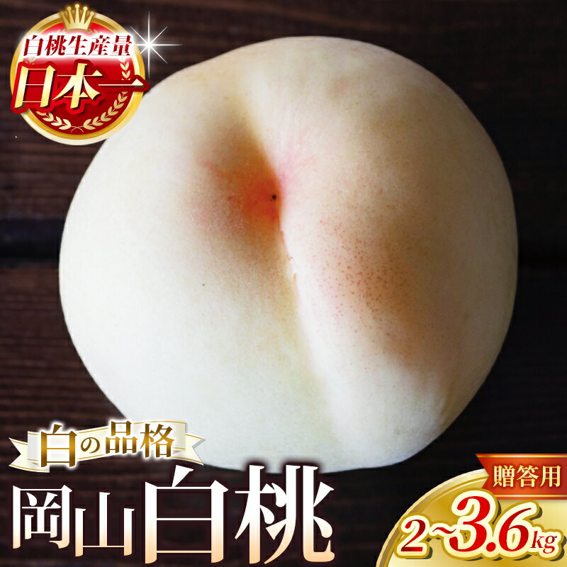 【ふるさと納税】 桃 白桃 約2kg / 3.6kg 【2026年先行予約】 化粧箱入り【7月下旬～9月下旬まで順次発送予定】/ 桃 もも モモ 川中島白桃 白鳳 果物 くだもの フルーツ 贈答品 ギフト お取り寄せ 期間限定 数量限定 送料無料 産地直送 人気 岡山