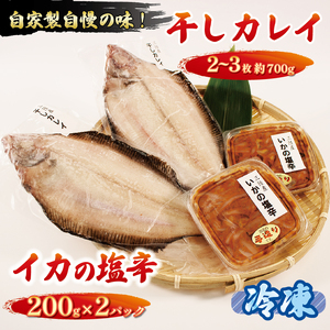 干しカレイ2?3枚 (約700g) イカの塩辛 200g×2パック カレイ 魚 焼き魚 干し 干物 海産物 海鮮 魚貝類 魚介類 海 イカ いか 塩辛 ご飯 おかず 夕飯 夕ご飯 岩手県 大船渡市