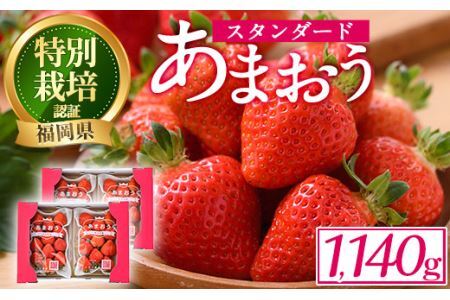 ＜予約受付中！2024年12月中旬より順次発送予定＞うるう農園のスタンダードあまおう(計1.14kg・285g×4P) ふるさと納税 春日市 特産品 苺 いちご イチゴ 果物 フルーツ 国産 福岡県 ヨーグルト ジャム スムージー 冷蔵 特別栽培＜離島配送不可＞【ksg1219】【うるう農園】