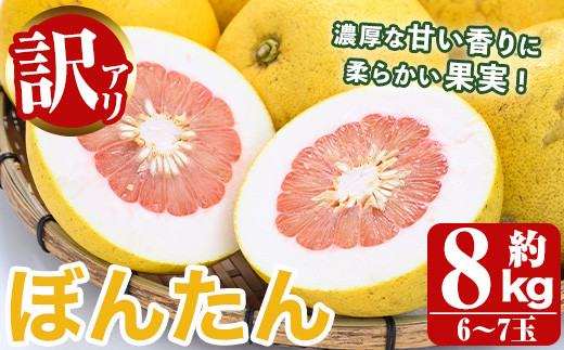 
                  ＜先行予約受付中！2026年12月以降順次発送予定＞訳あり！数量限定！阿久根産ぼんたん(計8kg・6～7玉) 国産 ボンタン 柑橘 果物 期間限定 文旦 訳アリ 不揃い【あくね旬の店いきいき館】akn015-13
                