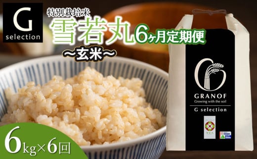 【令和7年産先行予約】【定期便6ヶ月】 特別栽培米 Gセレクション 雪若丸 【玄米】6kg (6kg×1袋)×6ヶ月 山形県鶴岡市産　株式会社グラノフ
