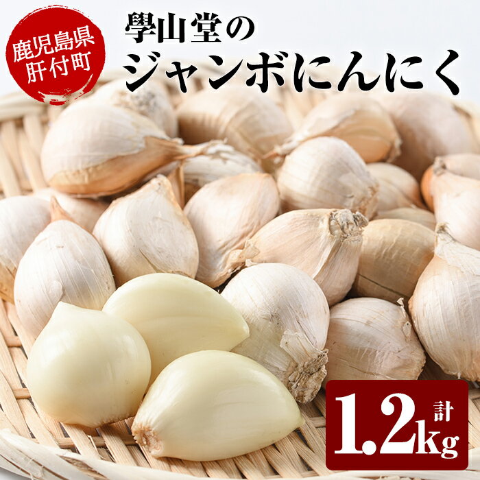 【ふるさと納税】＜先行予約受付中！2026年6月中旬以降準備が整い次第順次発送＞學山堂のジャンボにんにく(計1.2kg) 栽培期間中農薬不使用！ 鹿児島 国産 大蒜 ニンニク ガーリック 粒が大きい 野菜 薬味 国産【ニンニクの學山堂】