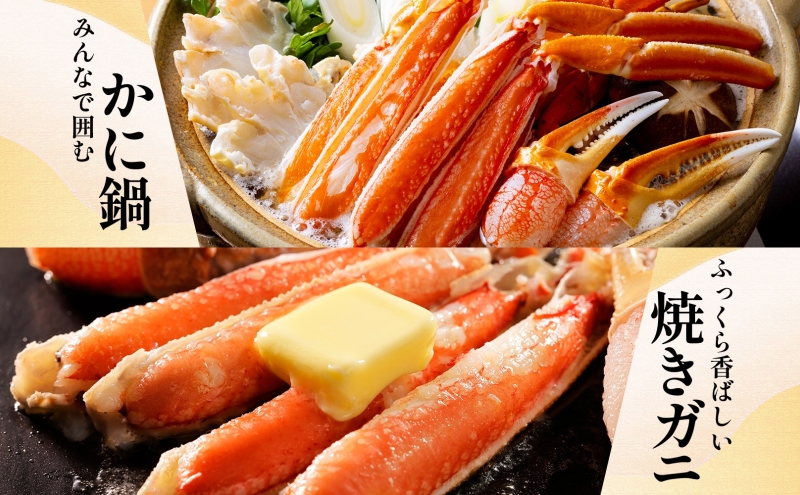 【無地熨斗】ズワイガニ足 1kg前後  約2-3人前 蟹酢付き【昆布塩加工 ボイル かに カニ ズワイガニ 脚 北国からの贈り物】 015B382-1
