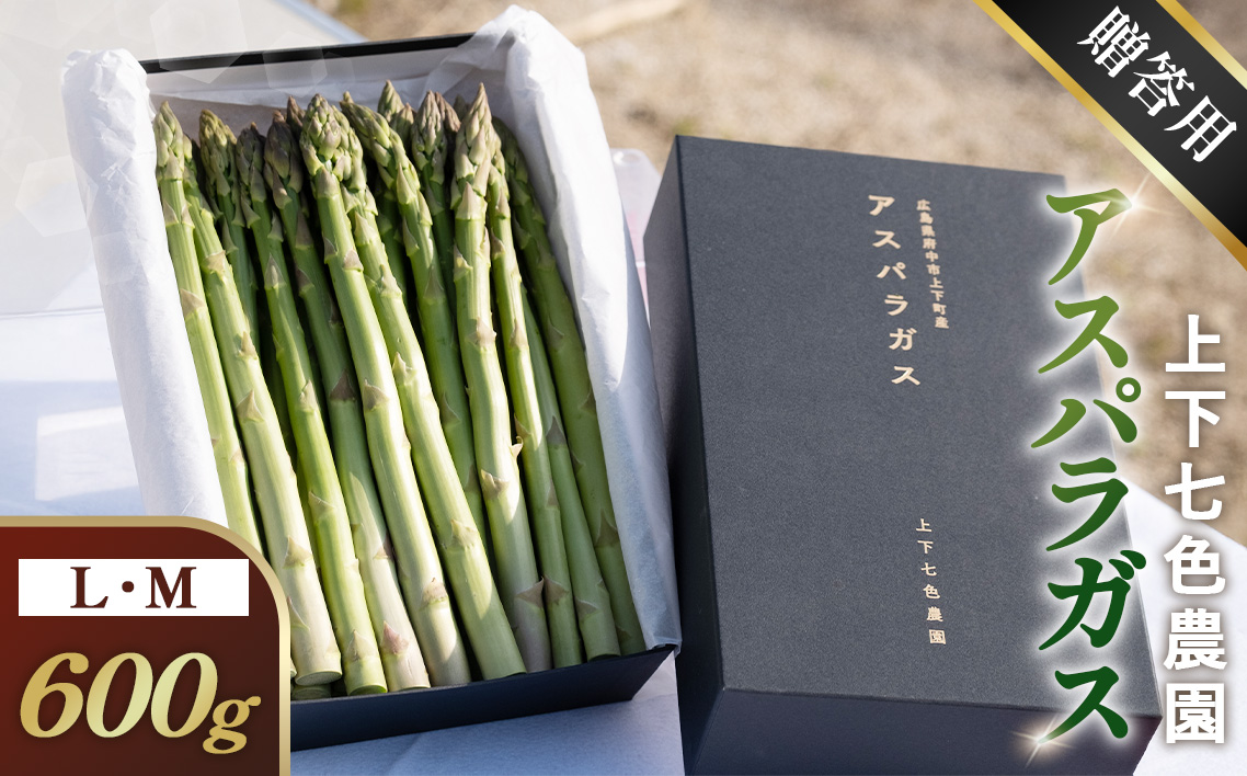 上下七色農園贈答用アスパラガス　L・Ｍサイズ　貼箱（600g）