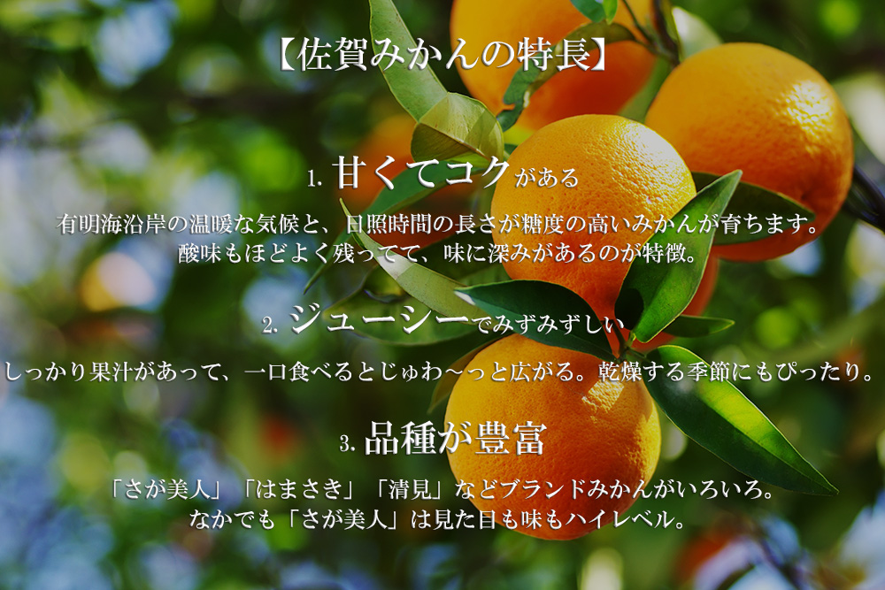 DV146_【計７回】柑橘好きのための佐賀みかん定期便