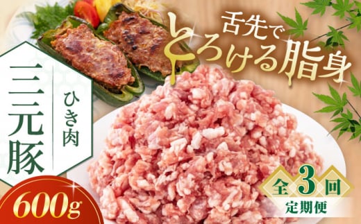 【全3回定期便】三元豚 ひき肉600g《喜茂別町》【平田牧場】 肉 豚肉 ミンチ 豚ミンチ 餃子 つくね 冷凍配送 北海道 [AJAP119] 21000 21000円