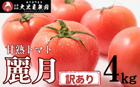 先行予約（訳あり）（2026年7月上旬頃から順次発送） 甘塾トマト 麗月 2Ｌ～3Ｌ 大サイズ 4kg以上 【119-5】