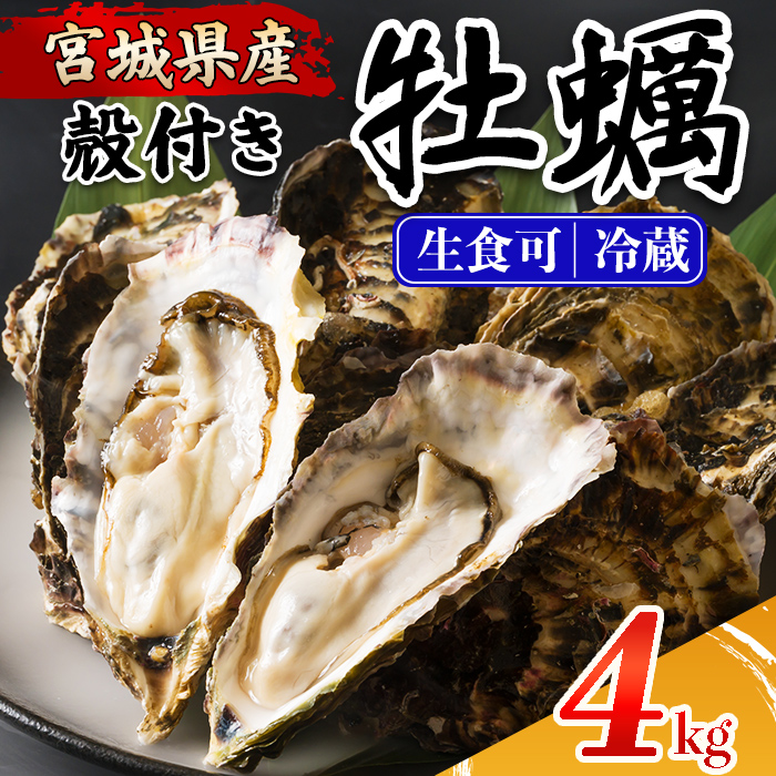 殻付き牡蠣（生食用）冷蔵 4kg 生牡蠣 宮城県産 牡蛎 牡蠣 カキ かき 生食 オイスター カキフライ 牡蠣鍋 海鮮 国産 魚貝類 バーベキュー BBQ 【カタクチ商店株式会社】ta732