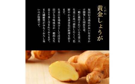 黄金しょうが 2kg 【高知県産】【しょうが】
