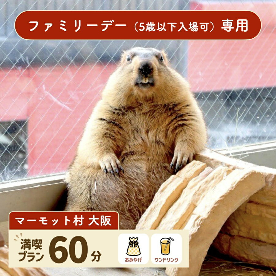 【ふるさと納税】マーモット村大阪 体験チケット (ファミリーデープラン ワンドリンク＆お土産付き)｜カフェ 体験 動物 アニマルカフェ [2610]