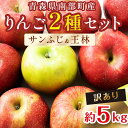 【ふるさと納税】 【訳あり】 青森産 完熟 りんご 約5kg サンふじ 王林 2種セット （中～大玉） 【誠果園】 リ青森りんご リンゴ 林檎 アップル あおもり 青森 青森県 南部町 三戸 澁川賞受賞 果物 くだもの フルーツ 家庭用 わけあり ワケアリ 訳アリ 規格外品 F21U-226