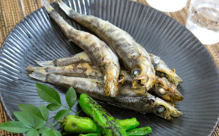 干物 常磐ものセット 4種 丸由水産 干物